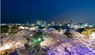 3月27日（木）～4月6日（日）｢福岡城　さくらまつり｣開催！